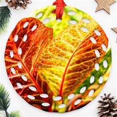 Leaves Plant Pattern Croton Nature Ornament (round Filigree)
