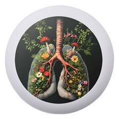 Lungs Health Dento Box With Mirror