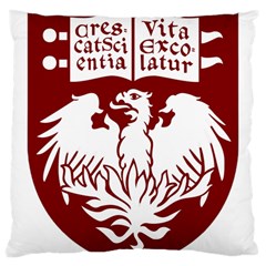 University Of Chicago Large Cushion Case (one Side)