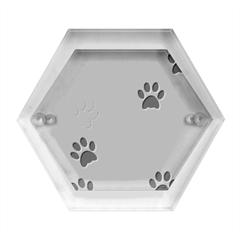 Pawprints Paw Prints Paw Animal Hexagon Wood Jewelry Box